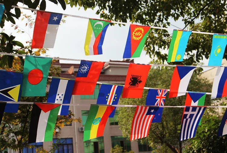 Z-ONE FLAG 100/200 Countries National Flag14x21cm 20x30cm String Flag Countries Around The World Nations Flag For Party decor