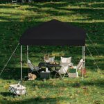 10x10 FT Pop Up Canopy Tent, Black Heavy Duty Waterproof Gazebo Shelter with Wheeled Carry Bag Portable Instant Sun Shade for Outdoor Parties, Events & Camping,Patio, Garden, Beach - Image 2
