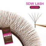 TDANCE Dark Brown 5D/4D/3D W Eyelashes Shaped Premade Fan Lashes C/D 0.07MM 12 Lines/Tray Natural Soft Eyelash Extension - Image 6