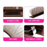 TDANCE Dark Brown 5D/4D/3D W Eyelashes Shaped Premade Fan Lashes C/D 0.07MM 12 Lines/Tray Natural Soft Eyelash Extension - Image 3
