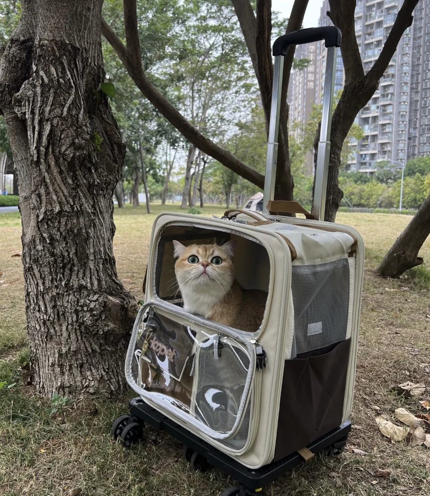 Rolling Cat Carrier with Wheels for Large Cats Small Dogs Up To 10kg Ideal for Travel Walking and Camping Cat Handbag Dog Bag Rolling Cat Carrier with Wheels for Large Cats Small Dogs Up To 10kg Ideal for Travel Walking and Camping Cat Handbag Dog Bag