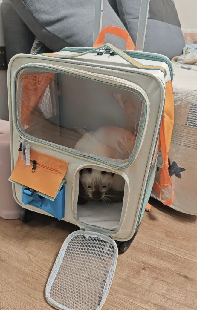 Rolling Cat Carrier with Wheels for Large Cats Small Dogs Up To 10kg Ideal for Travel Walking and Camping Cat Handbag Dog Bag Rolling Cat Carrier with Wheels for Large Cats Small Dogs Up To 10kg Ideal for Travel Walking and Camping Cat Handbag Dog Bag