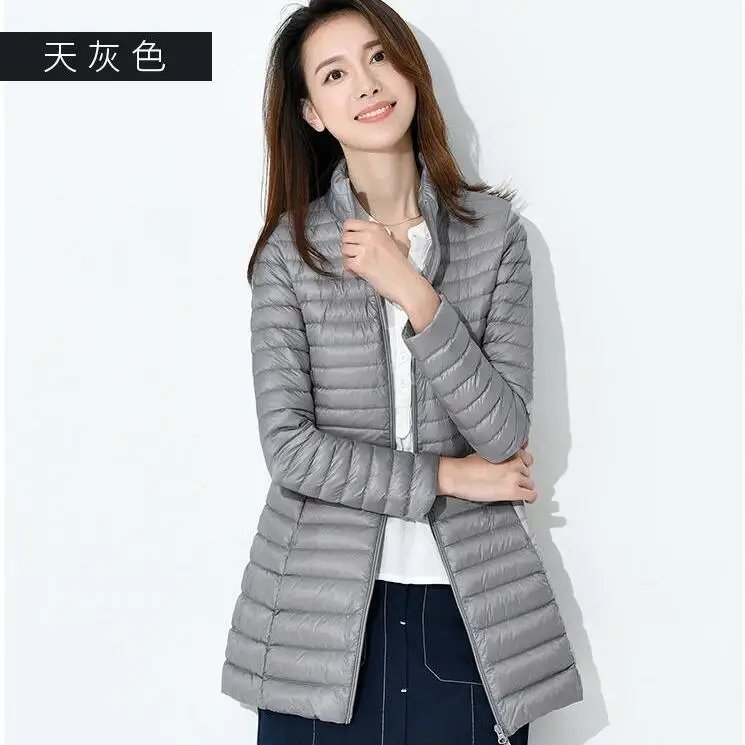Gray (Stand Collar)
